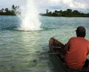 Akibat Ulah Nelayan, Saat Ini Ikan Pada "Kawin" Lari