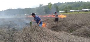 Gerak Cepat Polsek Pondidaha, Pedamkan Kepanikan Warga