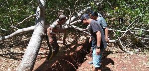 PT TBS Diduga Rusak Lahan Perkebunan Warga