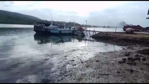 Debu Pembongkaran Batu Bara PLTU Nii Tanasa, Dikeluhkan Warga