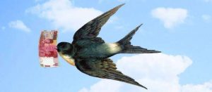 Tagih Pajak Sarang Burung Walet, Pemkab Bombana Diprotes