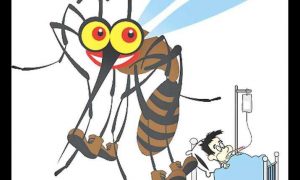 DBD Ancam Kesehatan, Dinkes Kendari: Ada 70 Kasus DBD di Kota Kendari