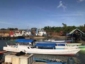Tongkang Parkir di Pesisir dan Kawasan Bakau, Syahbandar: Mereka Sudah Melapor dan Didata