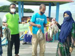 Sebanyak 1.181 Ekor Ikan Baronang Diadopsi Pada Festival Lalo'a