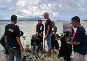 Mahasiswa KKN Reguler UHO di Wakatobi Lakukan Penanaman Mangrove di Pantai