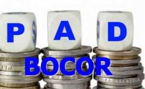 Kebocoran PAD Kota Kendari, Akibat Sistem yang Masih Kampungan