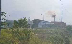 Masyarakat Keluhkan Bau Busuk yang Diduga dari PT UAM, Kades Wawolahambuti: Iya Benar Berbau