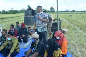 Bupati Konawe Serius Urus Petani, Hasil Panen Tembus 9,5 Ton Per Hektar