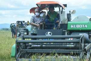 Bupati Konawe Serius Urus Petani, Hasil Panen Tembus 9,5 Ton Per Hektar