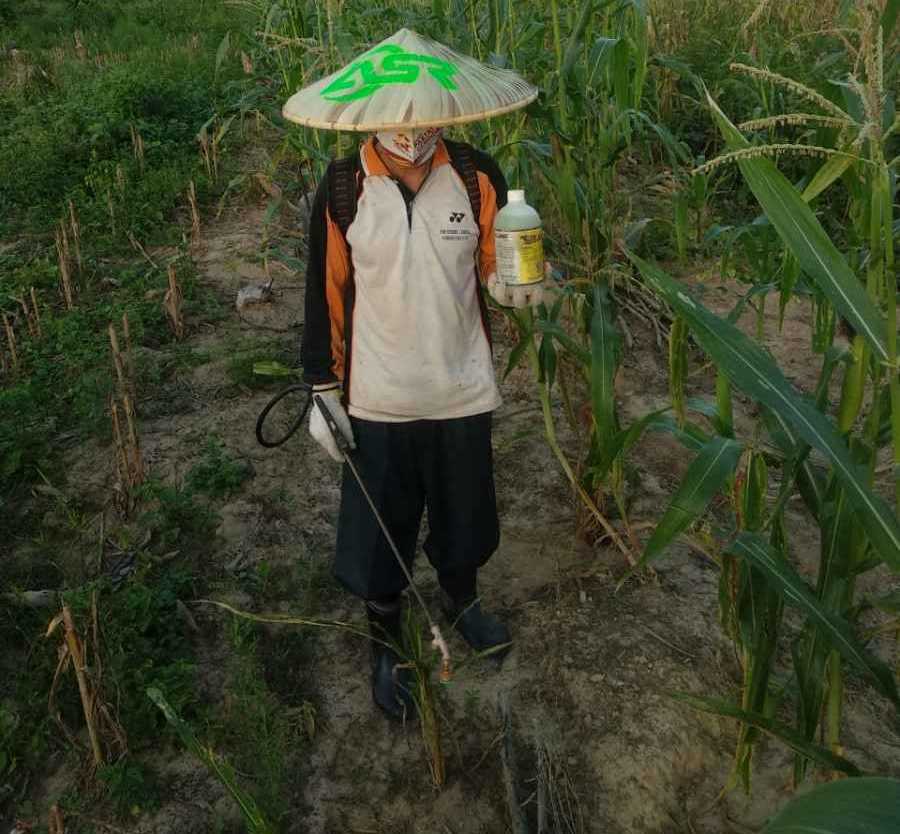 Peduli Petani Jagung, ASR Konsel Beri Bantuan Alat Pertanian
