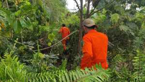 Berburu Ayam di Hutan Kumalona, Pria di Buteng Dikabarkan Hilang 