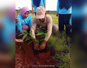 Sambut Milad Muhammadiyah ke-109, PDM Wakatobi Lakukan Penanaman Bibit Pohon
