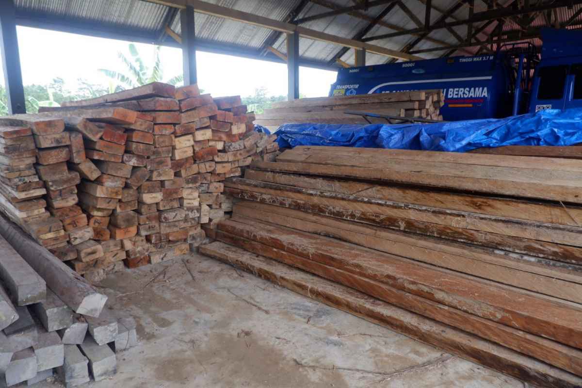 Tiga Hari Operasi di Tiga Daerah Berbeda, Polda Sultra Amankan 50 Kubik Kayu Diduga Ilegal Logging