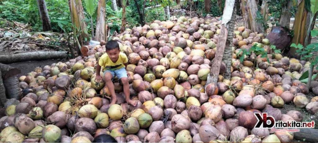 PKK Konkep Giatkan Warga Produksi Minyak, Siap Jadi Solusi Kelangkaan Minyak Goreng di Sultra
