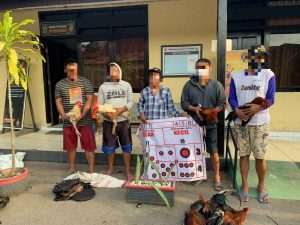 Nunggu Buka Puasa Sambil Judi Sabung Ayam, Lima Warga Konawe Dibekuk Polisi Bersama Ayamnya 