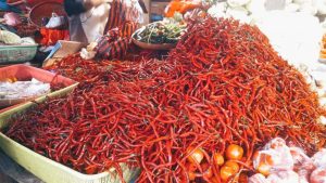 Petani Cabai Ramai-ramai Jual Hasil Panen Demi Baju Lebaran, Harga Cabai di Pasaran di Kota Kendari Turun Drastis