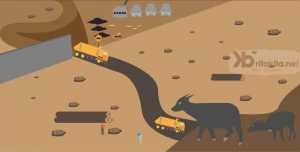 Lokasi PT SCM Merupakan Habitat Anoa, BKSDA: Kami Akan Sosialisasikan ke Perusahaan