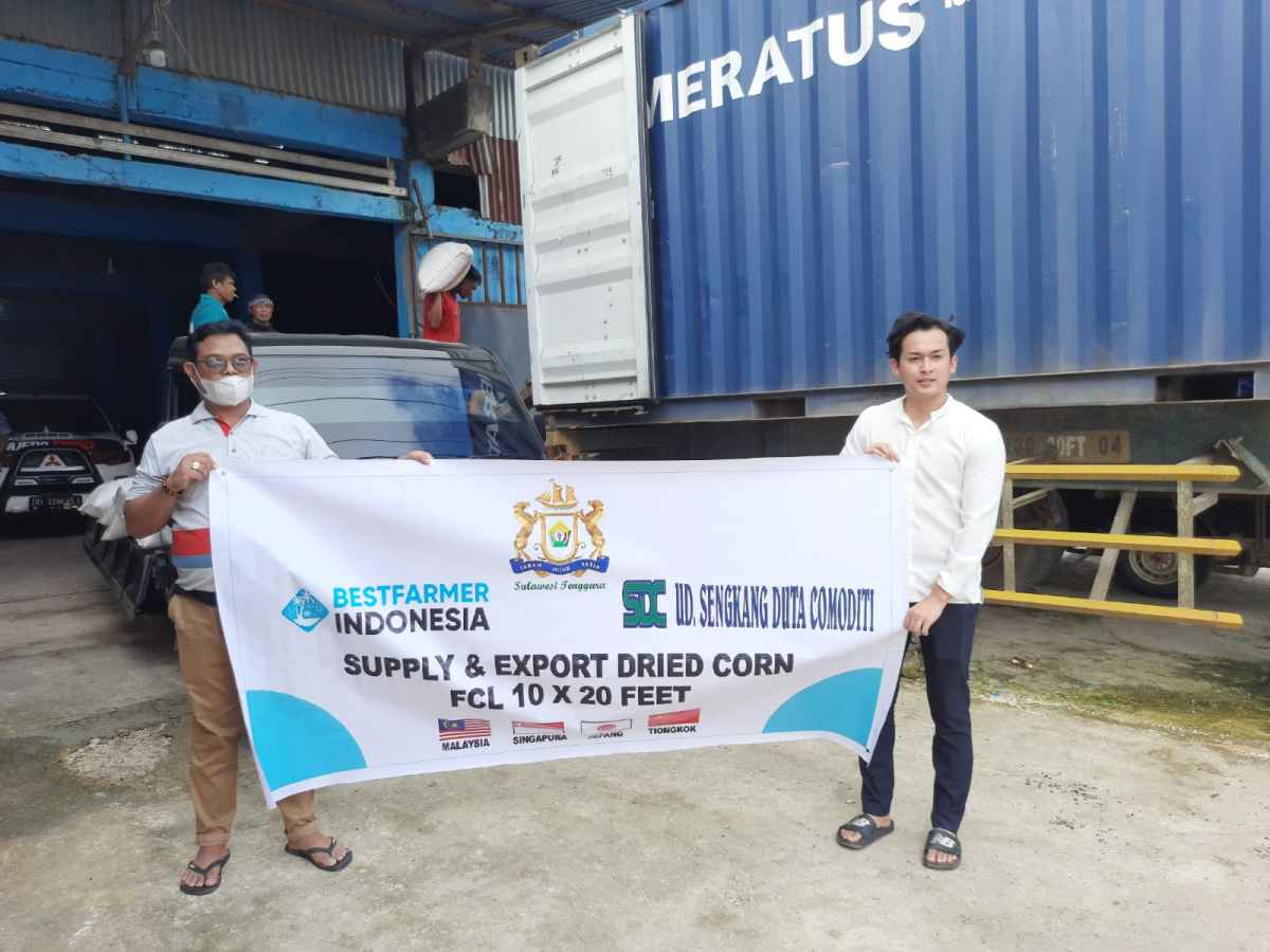 Perusahaan Binaan Kadin Sultra Ekspor Puluhan Ton Jagung