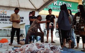 Idul Adha 1443 H, Kadin Sultra Salurkan 4 Hewan Kurban