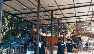 Puluhan Burung Kicau Tampil di Kontes Majapahit Singel Fighter Kota Kendari