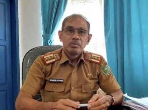 Dua Ribu Bibit Ketapang Kencana Disiapkan untuk Hiasi Jalan Protokol Kota Unaaha