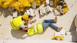 Karyawan PT TMS Tewas Tertimpah Pohon saat Bekerja