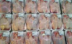 IKIP di Routa Butuh Satu Ton Ayam Beku Setiap Dua Pekan