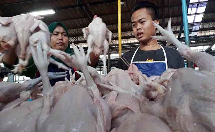 Warga Diminta Melapor Jika Pengusaha Ayam Potong di Tengah Kota Mengganggu
