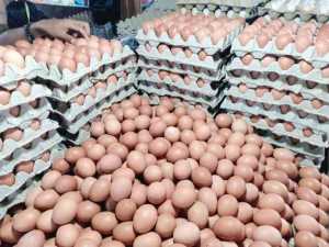 Perindakop Konawe Subsidi Ribuan Rak Telur