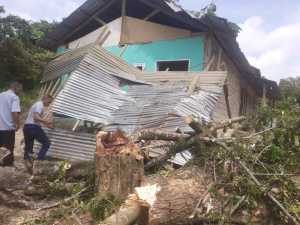 Pohon Ditebang Tim Kendari Bergerak Menimpah Rumah Warga, Pemilik Rumah: Setelah Kejadian Semua Pergi