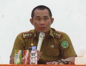 167 Cakades Terpilih di Pilkades Serentak Konawe, Menanti Pelantikan