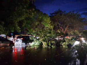 Bencana Hidrometeorologi Porak Porandakan Kota Bertakwa, Kendari Seketika Mencekam