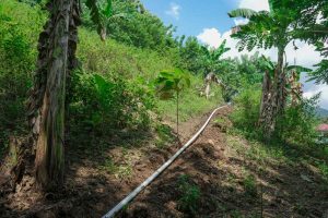 PT TMS Bangun Instalasi Air Bersih Untuk Empat Desa