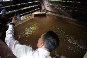 Tidak Adanya Pencemaran Lingkungan di Wawonii