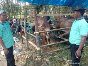 Disnakeswan Tetap Implementasikan Program IB