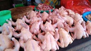 DLH Konawe Beri Kompensasi Bagi Penjual Ayam Potong Untuk Lengkapi Izinnya