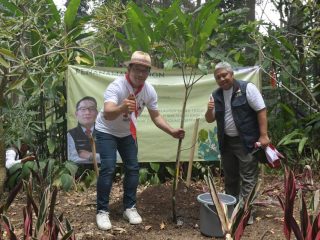Selama Lima Tahun, 83 Juta Bibit Pohon Tertanam dan 81 Ribu Ha Lahan Kritis Pulih di Jabar