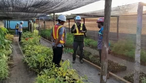 Reklamasi Lahan Bekas Tambang, Antam Konut Gandeng IPB dan UHO