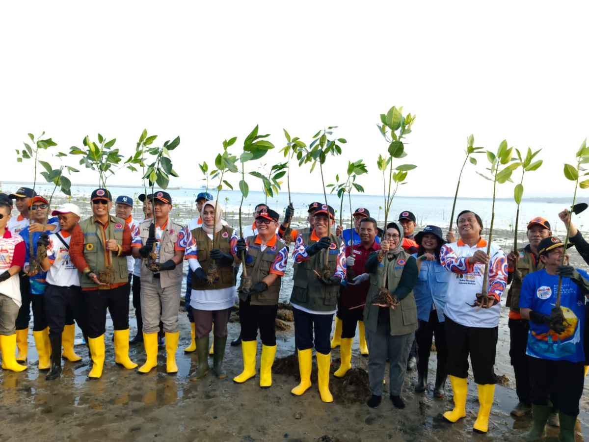 Perkuat Mitigasi Bencana Tsunami, BNPB Bersama Pemprov Dan Pemkot Tanam 7000 Bibit Mangrove
