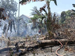 Lahan Kosong di Pemukiman Terbakar, Si Jago Merah Nyaris “Menjilat” Rumah Warga