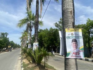 Satpol PP Kota Kendari Sebut APK Caleg DPR RI dari PPP Meresahkan