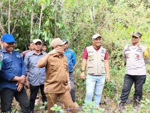 Pemkab Konawe Kaji Dua Jalur Alternatif Penghubung Latoma-Routa