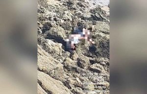 IMG-20240124-WA0021 Dikabarkan Hilang, Bocah 8 Tahun di Muna Ditemukan Tak Bernyawa di Pesisir Pantai