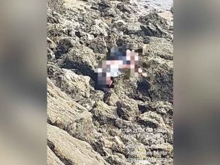 Dikabarkan Hilang, Bocah 8 Tahun di Muna Ditemukan Tak Bernyawa di Pesisir Pantai