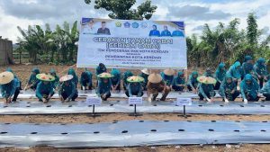 TP PKK Kota Bersama Pemkot Kendari Dukung Gerakan Tanam Cabai se-Indonesia