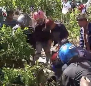 Helikopter Kepresidenan Picu Peristiwa Pohon Tumbang, Tujuh Warga Muna Terluka