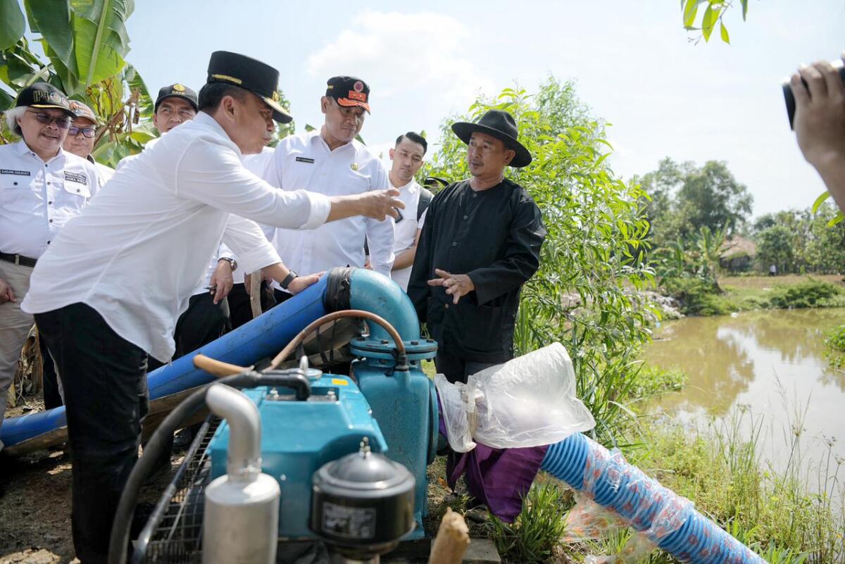 Produksi Gabah Kering Giling di Jabar Tahun 2024 Diupayakan Capai 11 Juta Ton