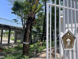 Habiskan Anggaran Rp 14 Miliar, Taman Kota Kendari Belum Selesai dan Terlihat Kumuh