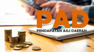 Beberapa Dugaan Kebocoran PAD Akibat Ulah Oknum “Nakal” Perumda Pasar Kendari