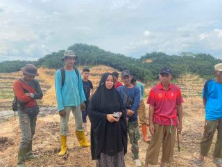 Gunakan Aparat, PT Merbau di Konsel Gusur Lahan dan Intimidasi Warga